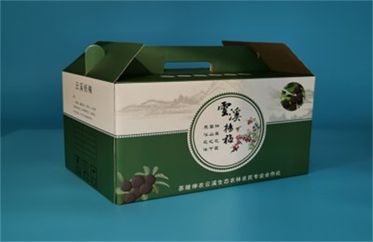 杨梅水果包装盒
