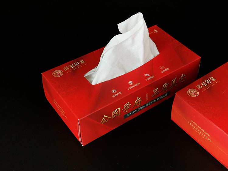 邵东印象纸巾盒2