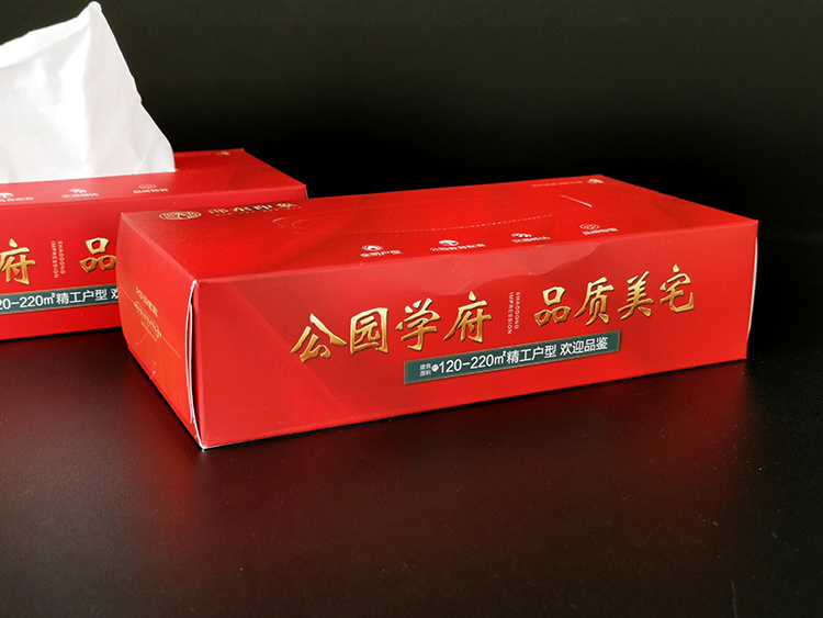 邵东印象纸巾盒3